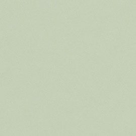 Hellgrünes Linoleum nach Maß | 4183 Pistachio | Forbo Linoleum