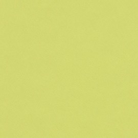 Lindgrünes Linoleum nach Maß | 4182 Spring Green | Forbo Linoleum