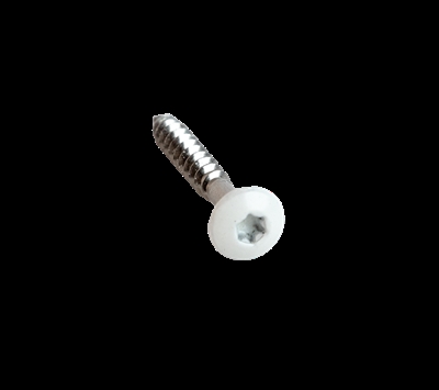Weiße Schrauben TX 20 4,0 x 30 mm - 50 Stück