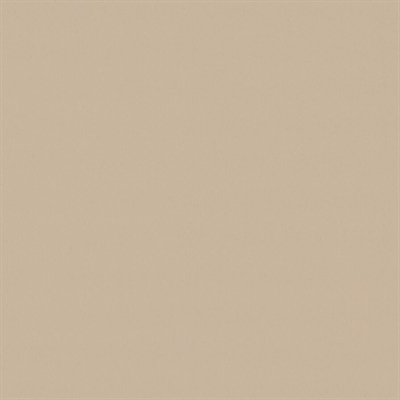 Beiges Linoleum nach Maß | 4176 Mushroom | Forbo Linoleum